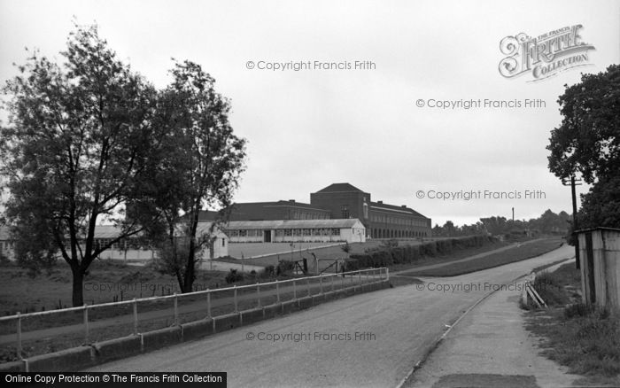 Photo of Ash, Yeomans Bridge School 1954