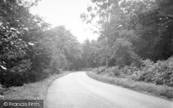 Scawby Woods c.1955, Ashby