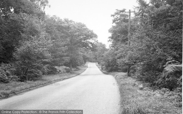 Photo of Ashby, Scawby Woods c.1955