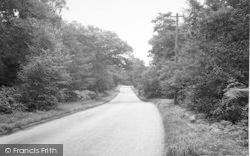 Scawby Woods c.1955, Ashby