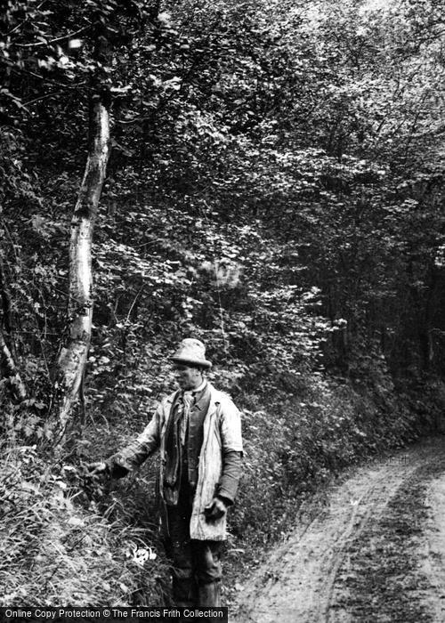 Photo of Ashdown Forest, A Yokel c.1900