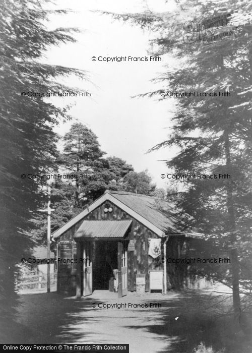 Photo of Ashdown Forest, Avenue And Providore, Broadstone Warren c.1955
