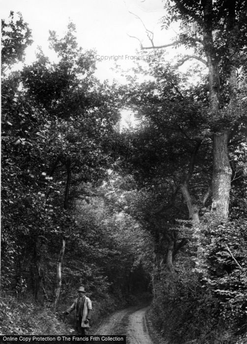 Photo of Ashdown Forest, c.1900