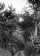 c.1900, Ashdown Forest