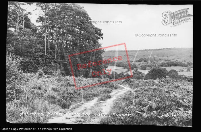 Photo of Ashdown Forest, c.1955