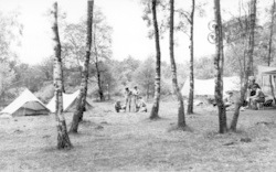 Campsite, Broadstone Warren c.1955, Ashdown Forest