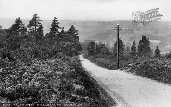 Photo of Ashdown Forest, Looking Down Captain Kidd's Hill 1927