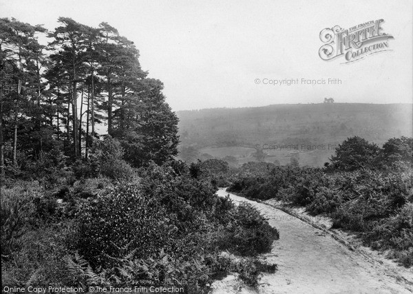 Photo of Ashdown Forest, Near Coleman's Hatch, Showing Camel's Clump 1927
