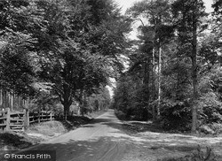Near Wych Cross 1927, Ashdown Forest