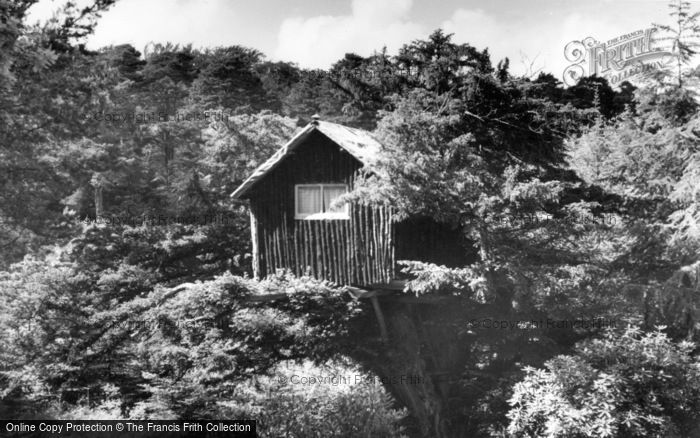 Photo of Ashdown Forest, Tree House, Broadstone Warren  c.1955
