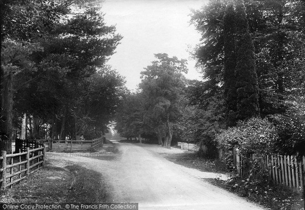 Photo of Ashdown Forest, View Near St Richard De Wych Church 1908