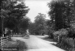 View Near St Richard De Wych Church 1908, Ashdown Forest