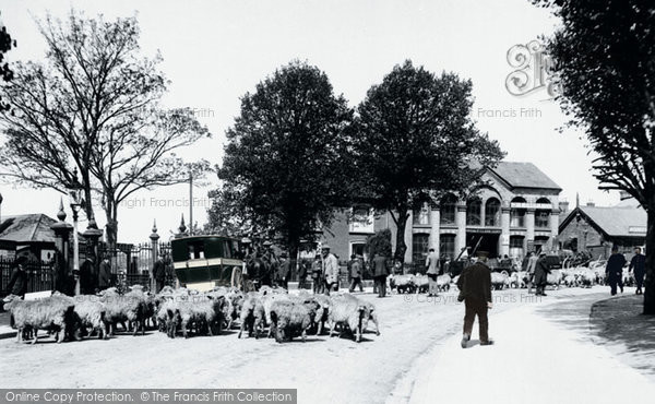 Photo of Ashford, Livestock Market 1906