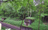 Ashford, the Warren 2004