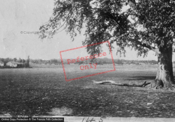 Photo of Ashtead, Common 1904