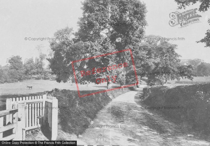 Photo of Ashtead, School Lane 1908