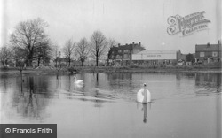 The Fish Pond c.1950, Ashtead