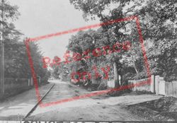 Woodfield Road 1908, Ashtead