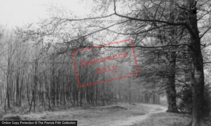 Photo of Aspley Guise, The Woods c.1955