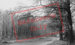 The Woods c.1955, Aspley Guise