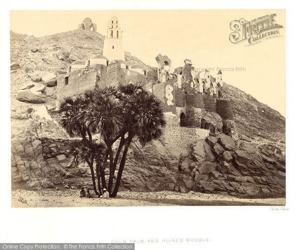 Photo of Assouan, A Doum Palm And Ruined Mosque At Mishdd 1860