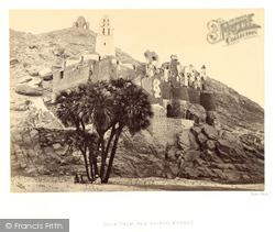 A Doum Palm And Ruined Mosque At Mishdd 1860, Assouan
