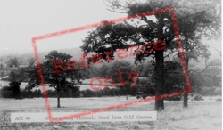 Bluebell Wood From Golf Course c.1965, Atherstone