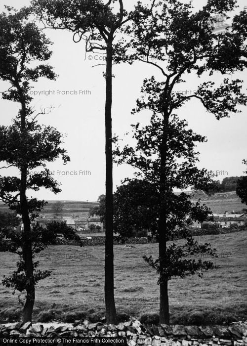 Photo of Austwick, A Peep Through The Trees c.1955