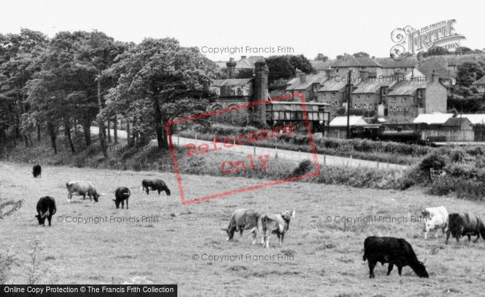 Photo of Axminster, c.1960