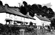 Cottages c.1955, Axmouth