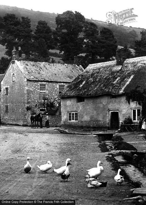 Photo of Axmouth, Ducks In The Village 1898