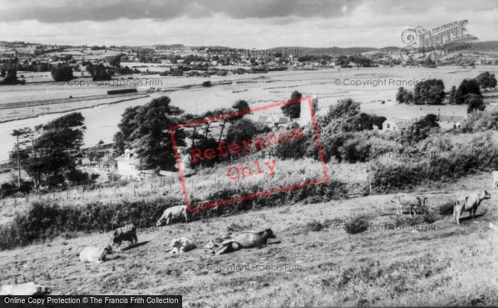 Photo of Axmouth, General View c.1955