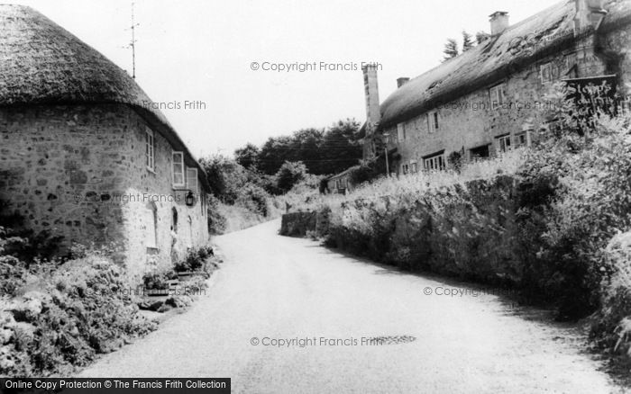 Photo of Axmouth, Stepps c.1960