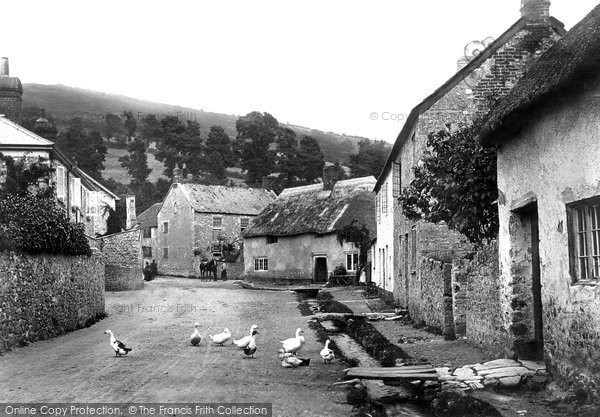 Photo of Axmouth, The Village 1898