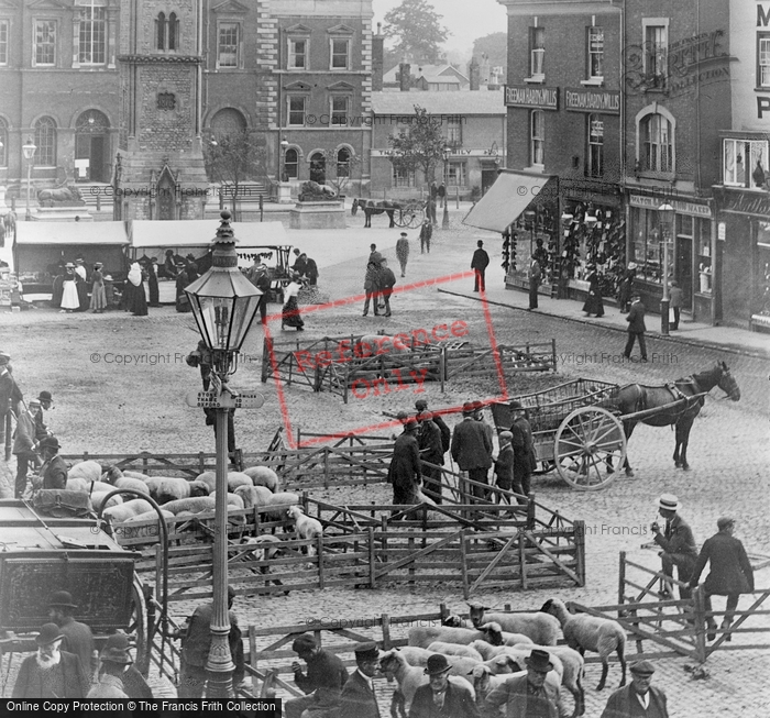 Photo of Aylesbury, Livestock Sales, Market Square 1901