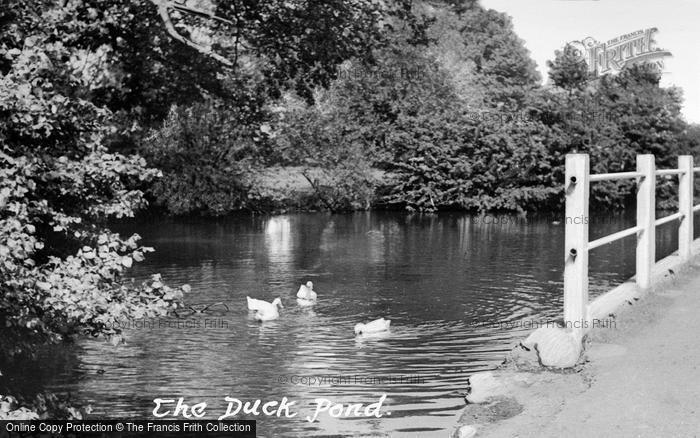 Photo of Aylesbury, The Duck Pond c.1955