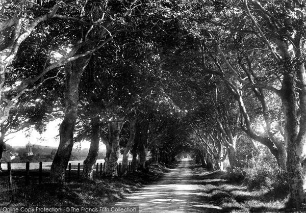 Photo of Ayr, Longhill Avenue 1900