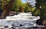 Lower Falls c.1960, Aysgarth