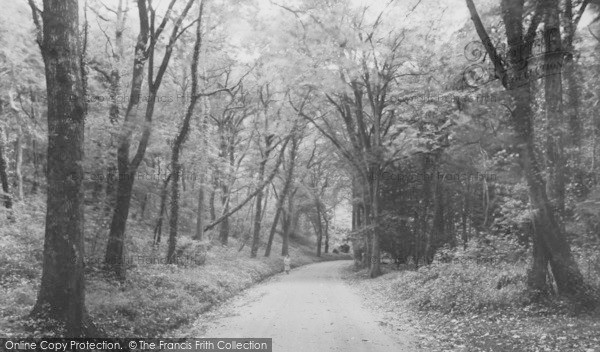 Photo of Backwell, Brockley Combe c.1955 - Francis Frith