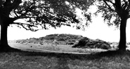 c.1955, Badbury Rings