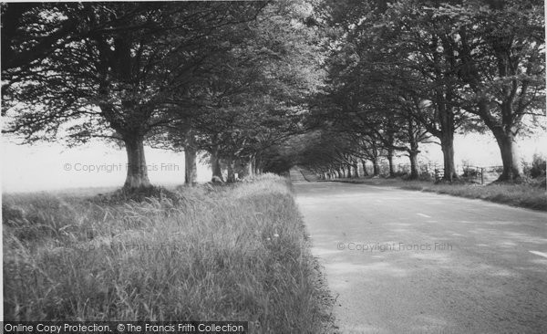 Photo of Badbury Rings, The Avenue c.1960