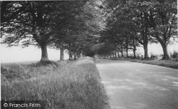 The Avenue c.1960, Badbury Rings