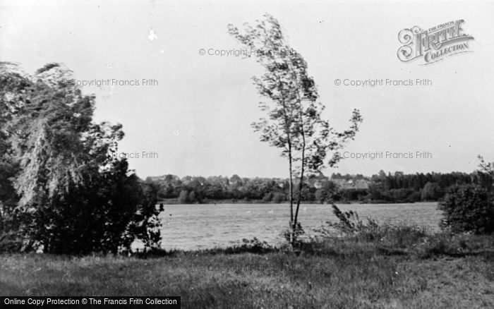 Photo of Badshot Lea, The Pond c.1955