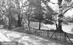 Bagborough, Cothelstone Hill c.1955, West Bagborough
