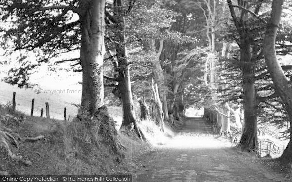 Photo of Bagborough, Cothelstone Hill c.1955