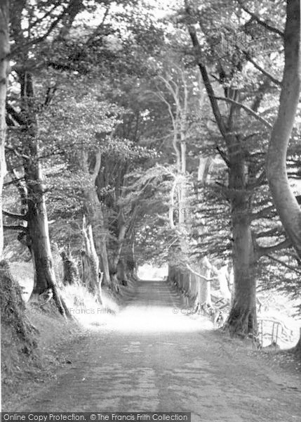 Photo of Bagborough, Cothelstone Hill c.1955