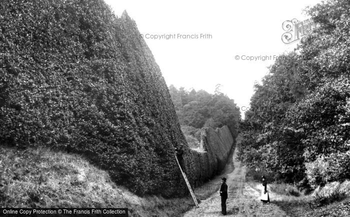 Photo of Bagshot, Holly Hedge, Pennyhill Park 1906