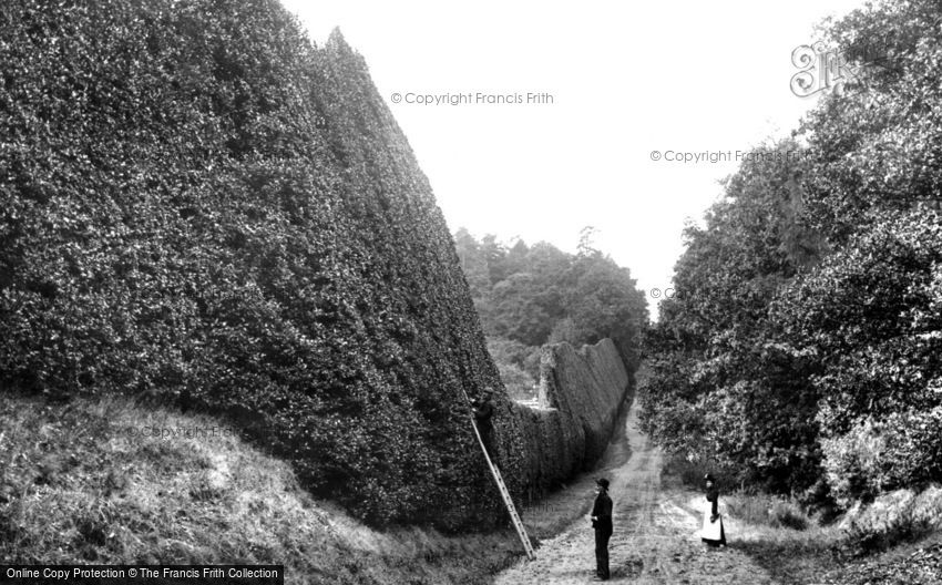 Bagshot, Holly Hedge, Pennyhill Park 1906