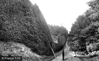 Bagshot, Holly Hedge, Pennyhill Park 1906