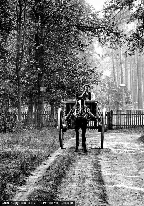 Photo of Bagshot, Horse And Cart 1906
